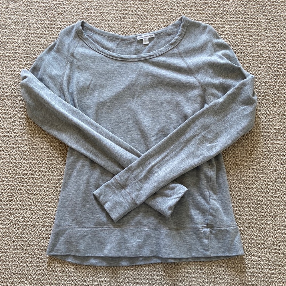 James perse grey sweatshirt